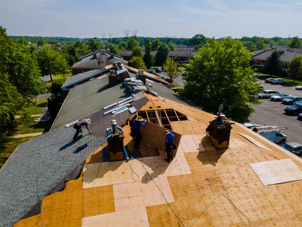 Best Flat Roof Repair Services  in Harvard, NE