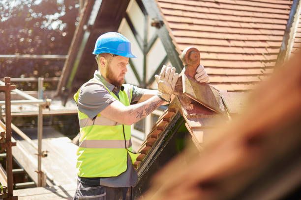 Best Roof Leak Repair  in Harvard, NE